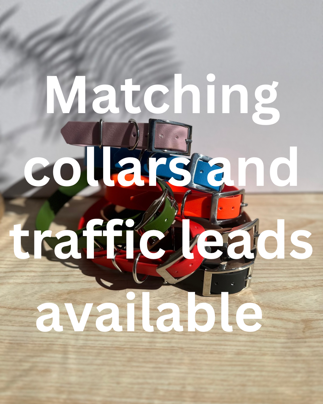 Standard Biothane Lead