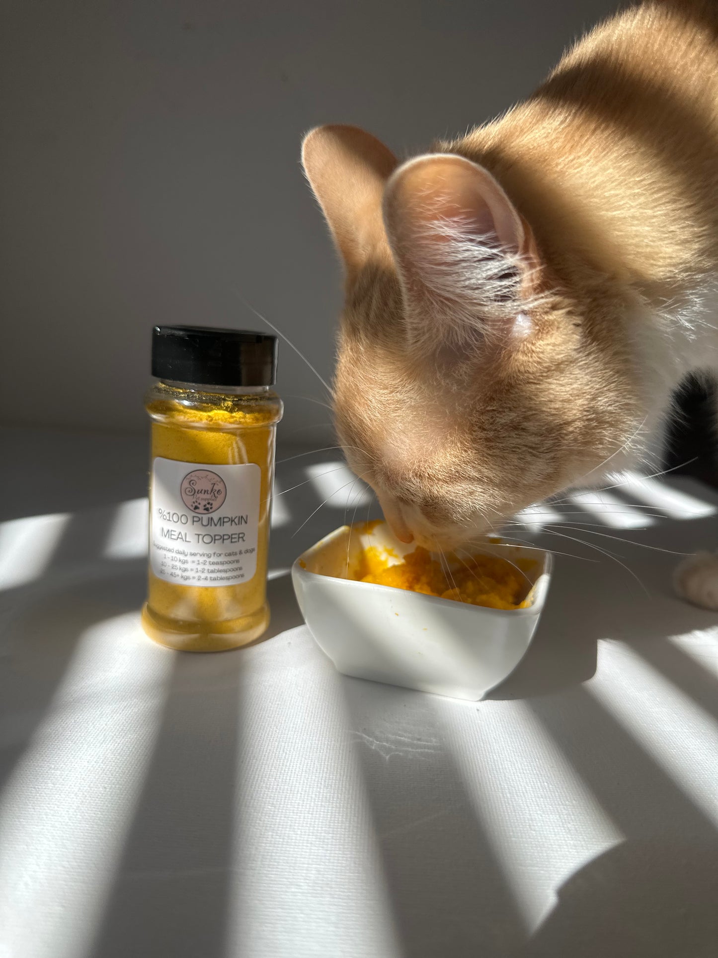 Pumpkin meal topper