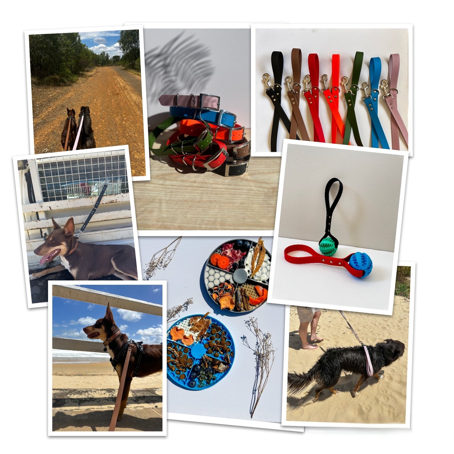 Dog Gear