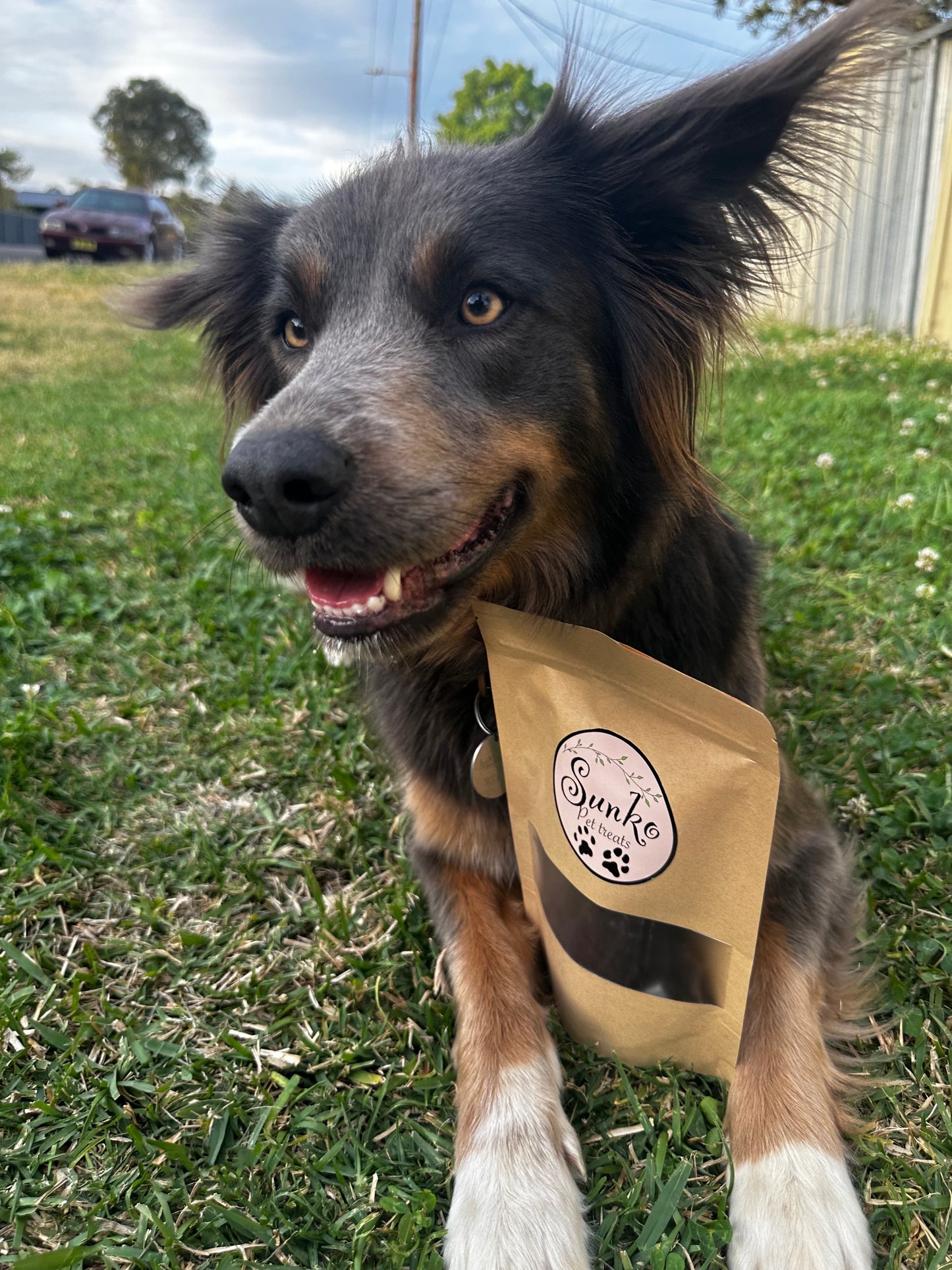 Dehydrated Kangaroo Jerky