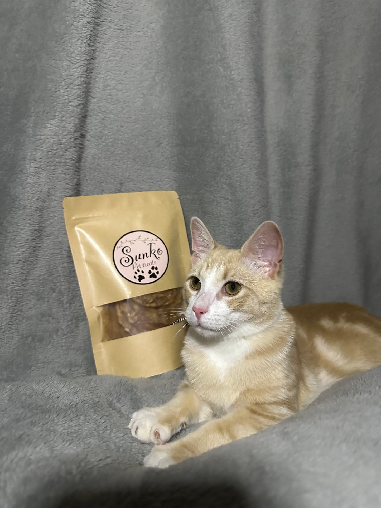 Dehydrated Chicken Jerky