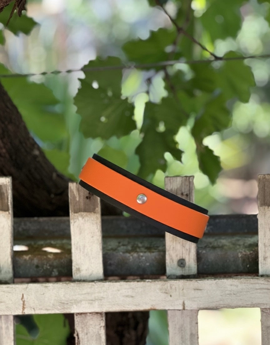 Double layer Dog Collar