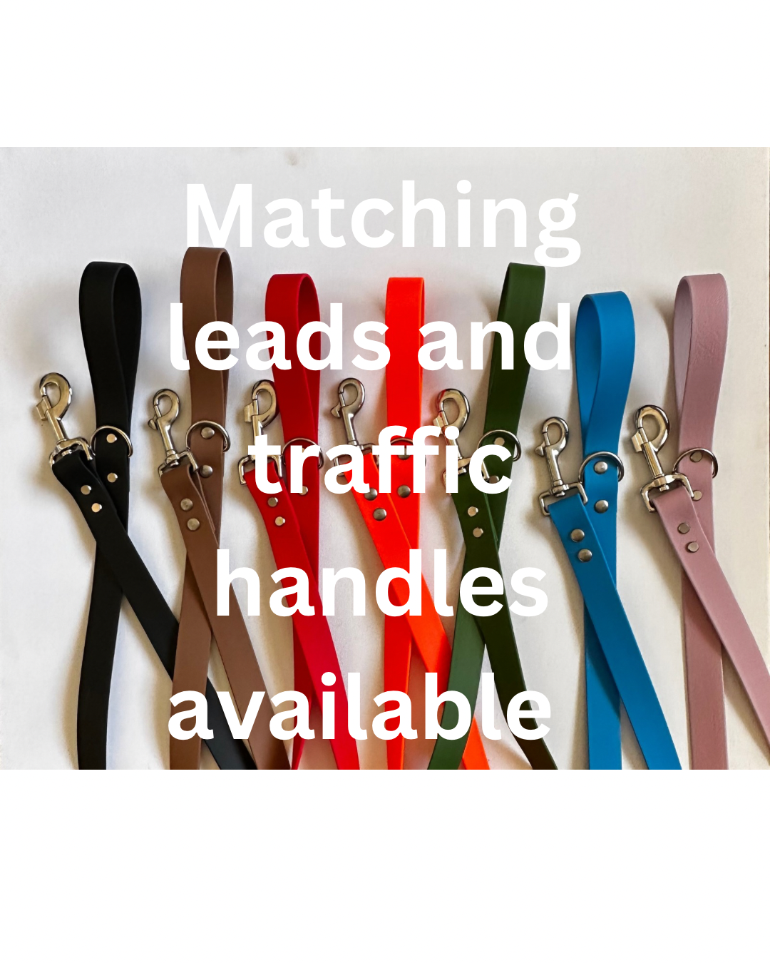 Standard Biothane Dog Collar