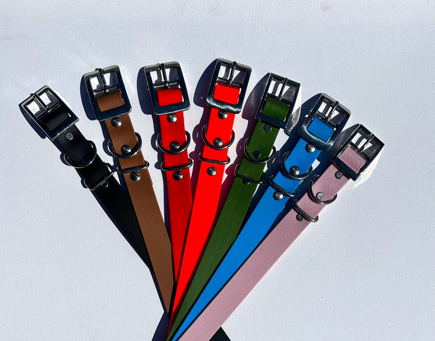 Standard Biothane Dog Collar