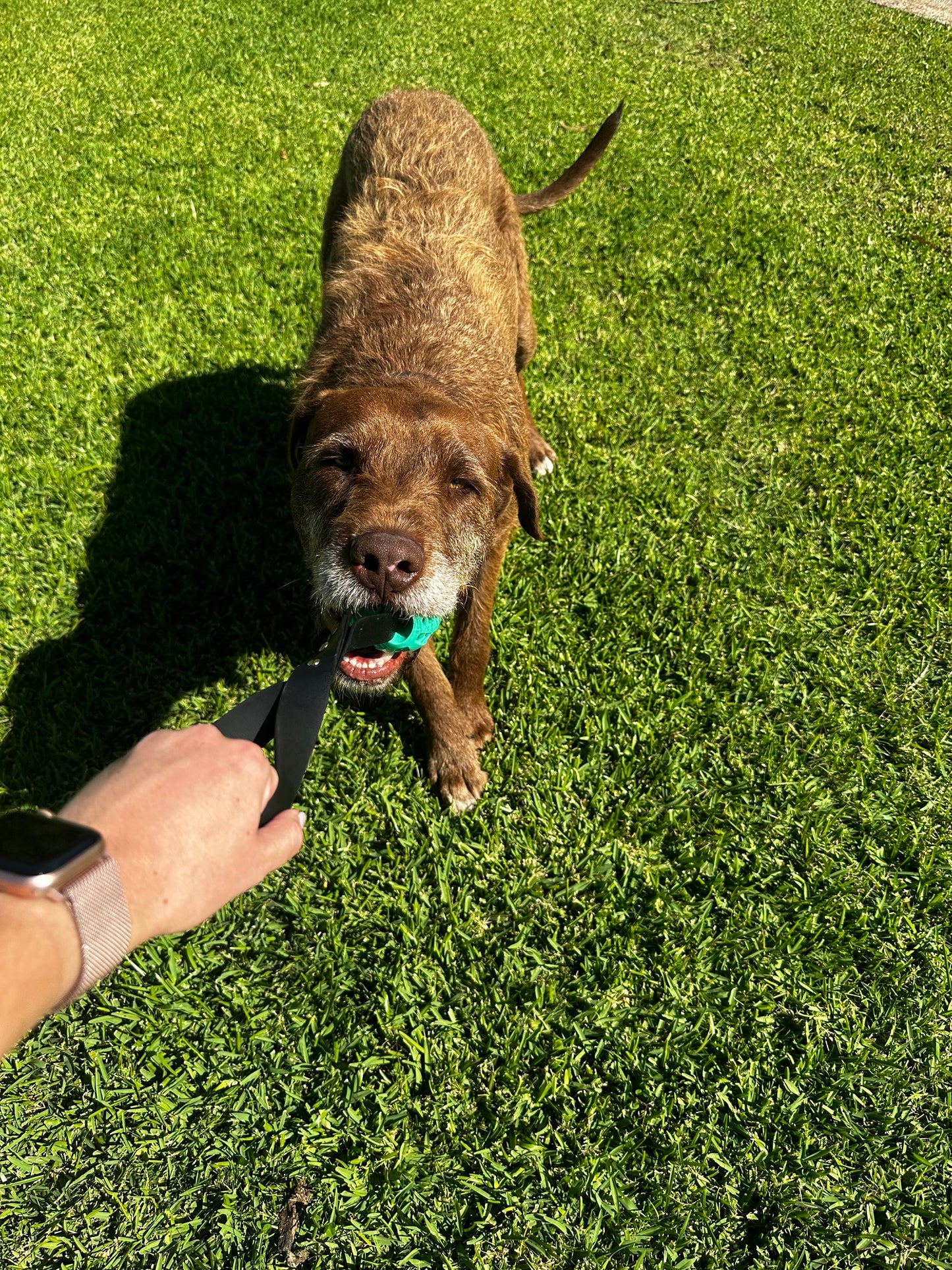 Biothane Tug Ball