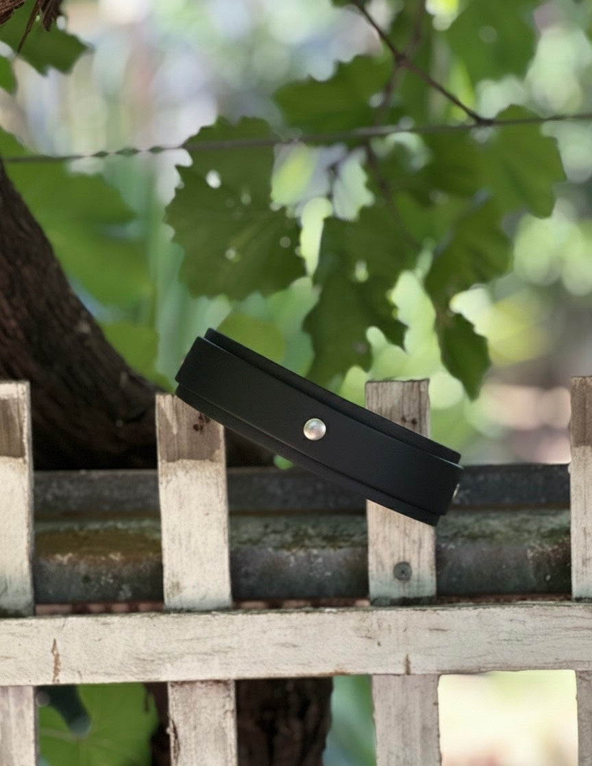 Double layer Dog Collar
