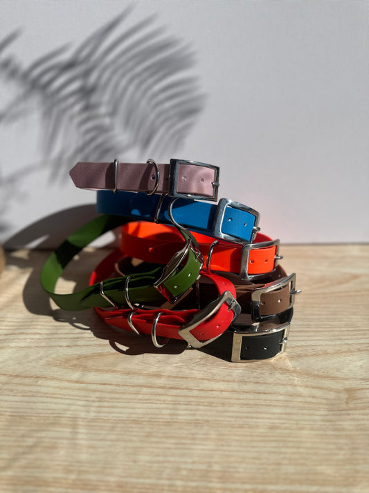 Standard Biothane Dog Collar