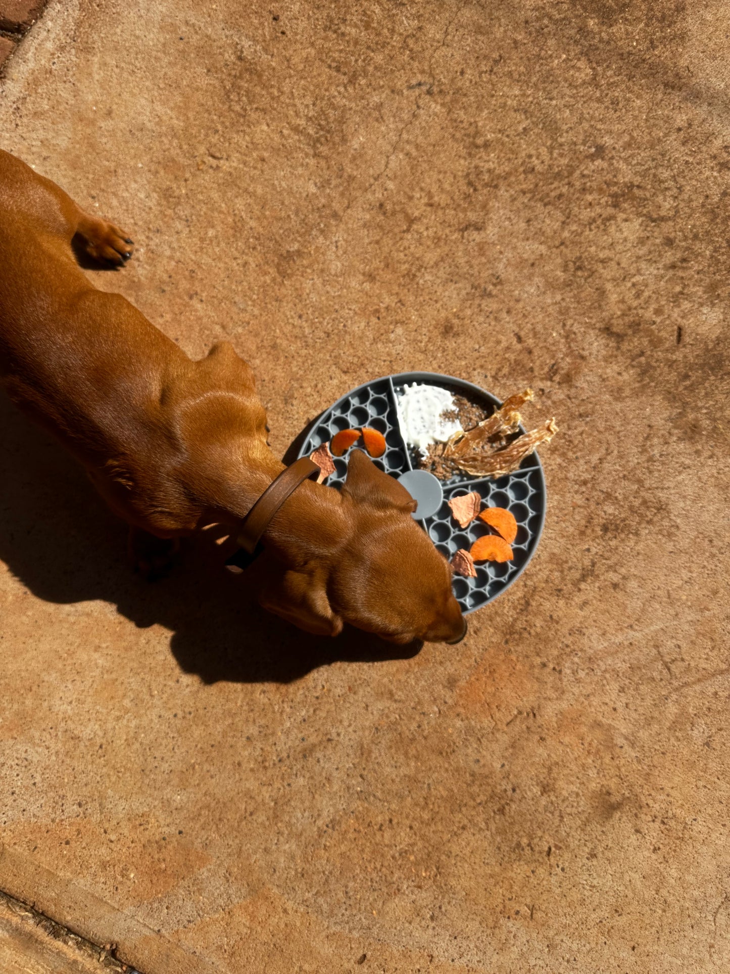 Lick Mat